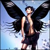 Benutzer Avatar